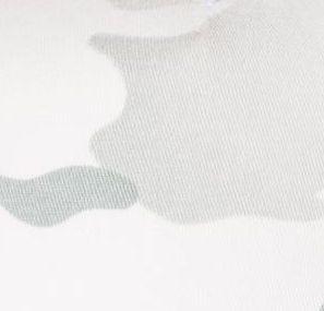 camowhite